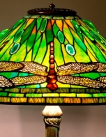 dragonfly_closeup_69-003_152_197 (1)